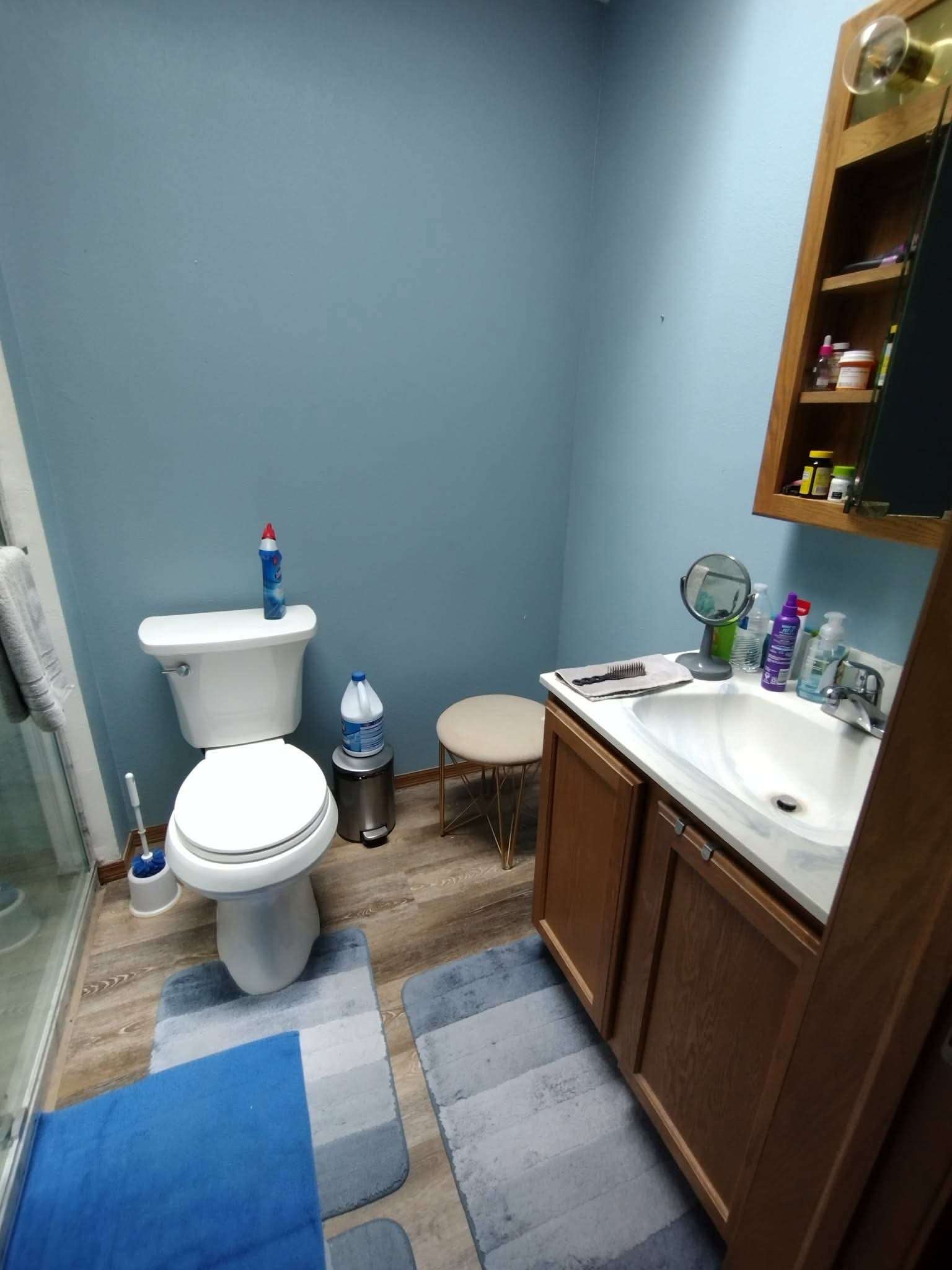 Bathroom before — basic blue walls and dated oak vanity