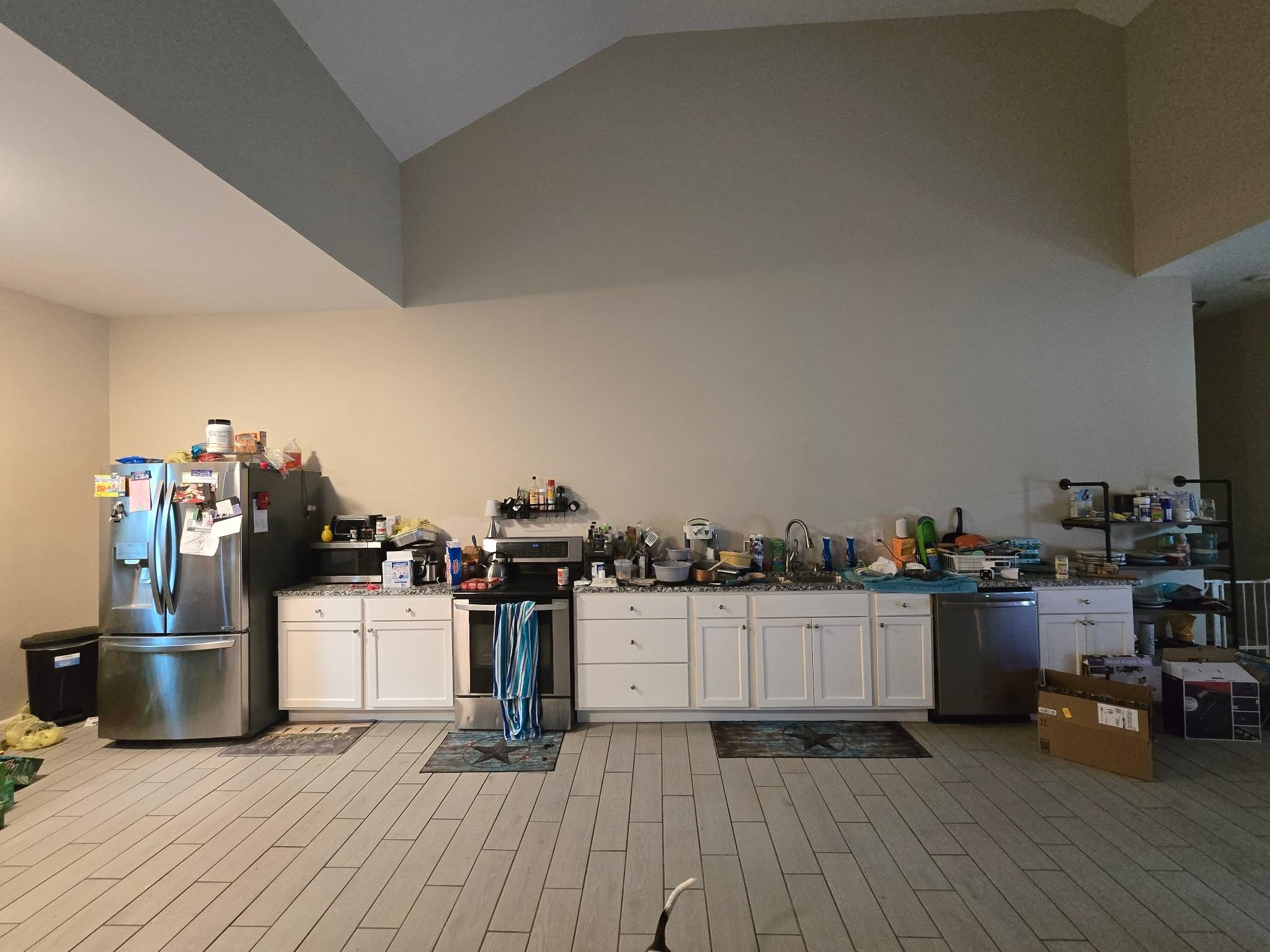 Vaulted Kitchen Bold Makeover - before